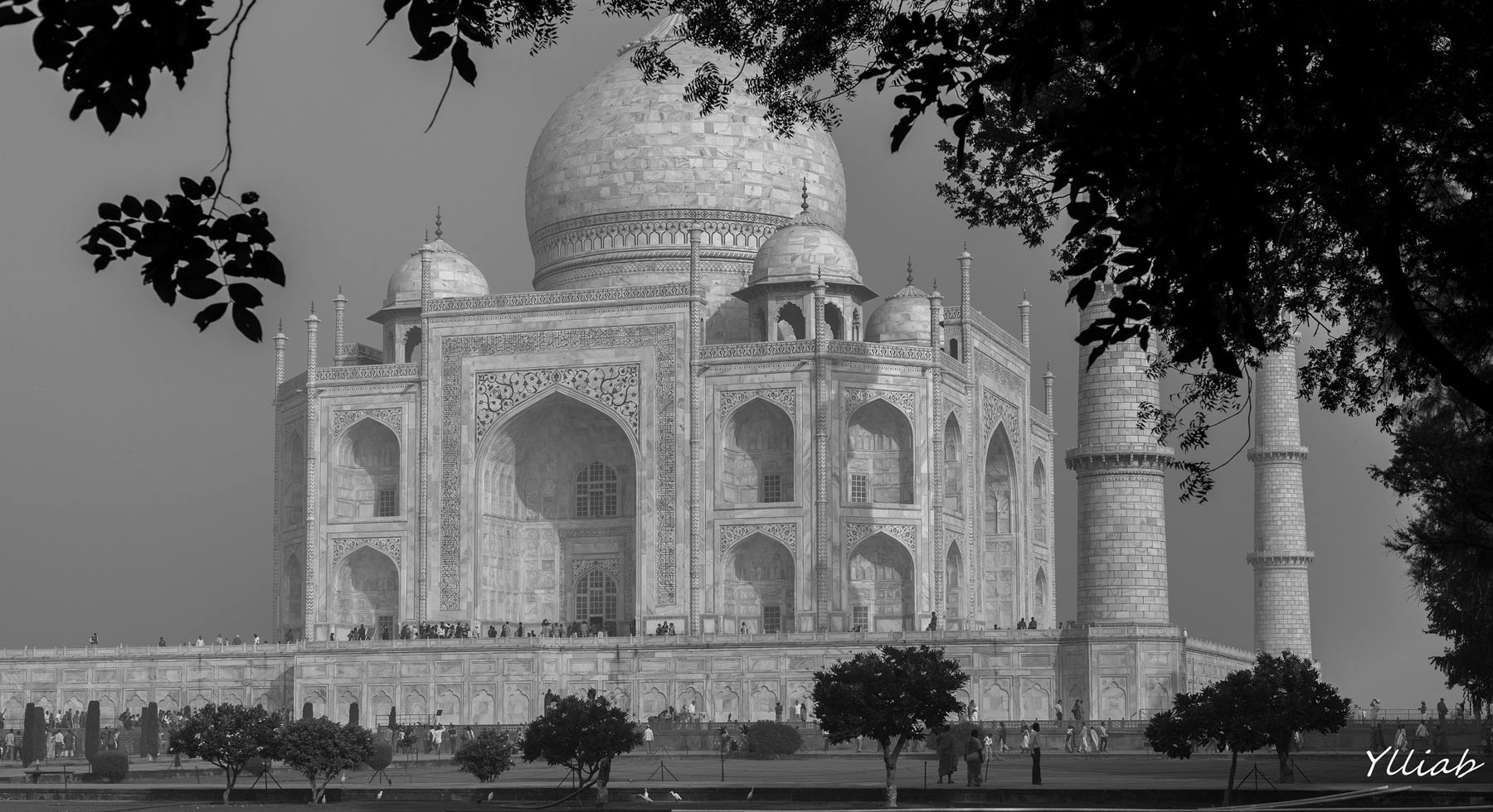 15 Facts About India’s Taj Mahal You Probably Didn’t Know India Taj Mahal trees