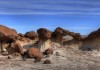 Explore This Alien Landscape From New Mexico, USA Bisti Badlands - New Mexico, USA