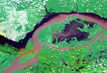 Extraordinary Satellite Images Of Earth Just Released By NASA Manaus, Brazil