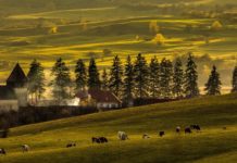 Eastern Europe – 2017’s Hot Travel Destination Bradu, Sibiu - Romania